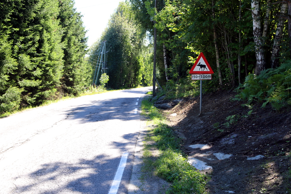 Einen Elch habe ich auf dieser Reise leider keinen gesehen.