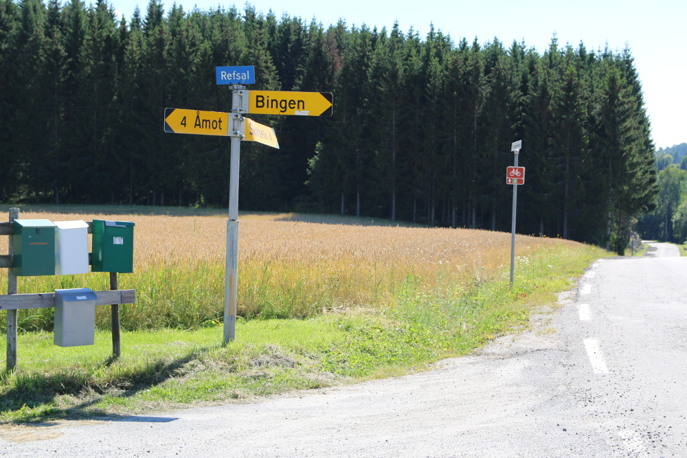 Bingen bei Mainz???? :D Da bin ich ja fast zu Hause... ;)