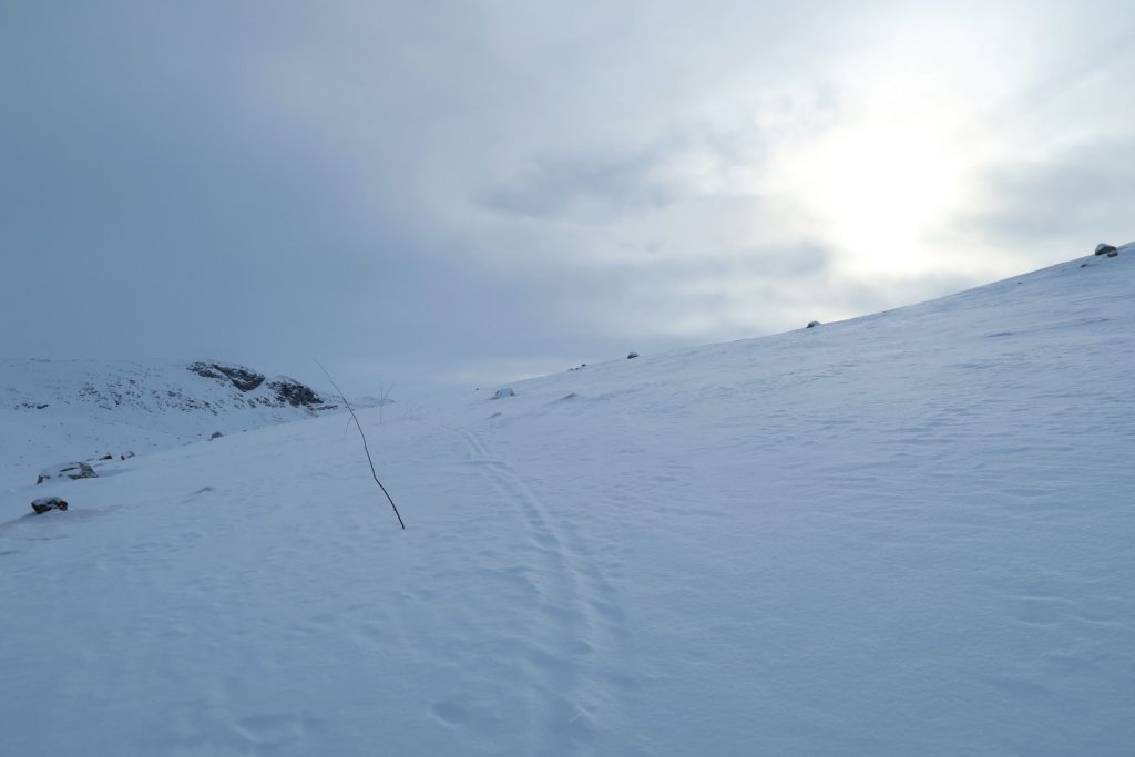 Die Spuren der Norweger vom Vortag sind schon wieder fast gänzlich zugeweht